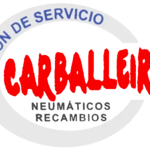 Logo E.S Carballeira